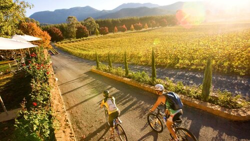 murray to mountains rail trail